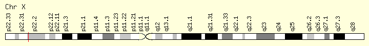 Genomic view for CLCN4 gene