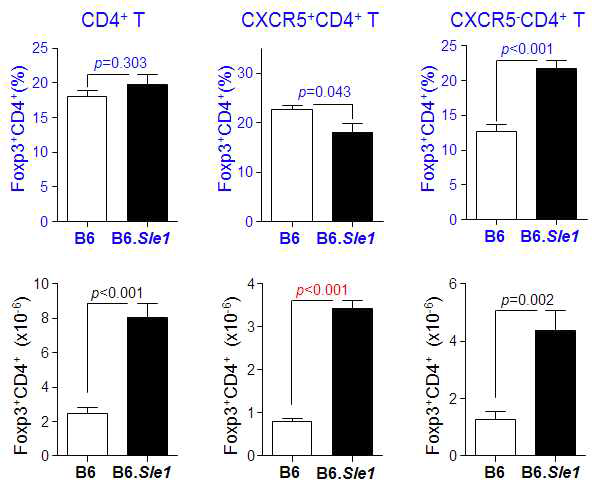 Increased frequency of foxp3+CXCR5-CD4+ T cells (in T cells zone), not foxp3+CXCR5+CD4+ T cells (in GC), in B6.Sle1 mice compared to B6 mice.