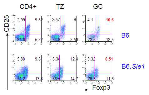 The correlation of CD25 expression and foxp3 in Treg