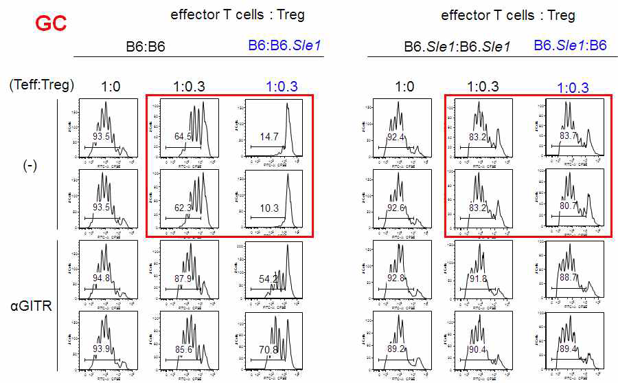 GC Treg of B6.Sle1 mice had superior suppressive function for effector CD4+ T cells from B6 mice than those of B6.Sle1 mice. But they were defect in suppressive function for effector CD4+ T cells from B6.Sle1 mice since effector CD4+ T cells of B6.Sle1 mice were resistant to suppressive activity of Treg.