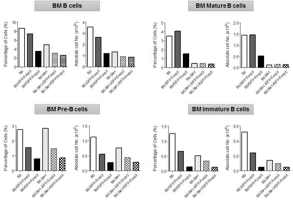 The numbers and frequencies of B-cell subset from bone marrow