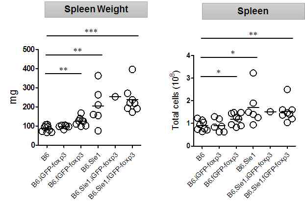 Gross changes of spleen