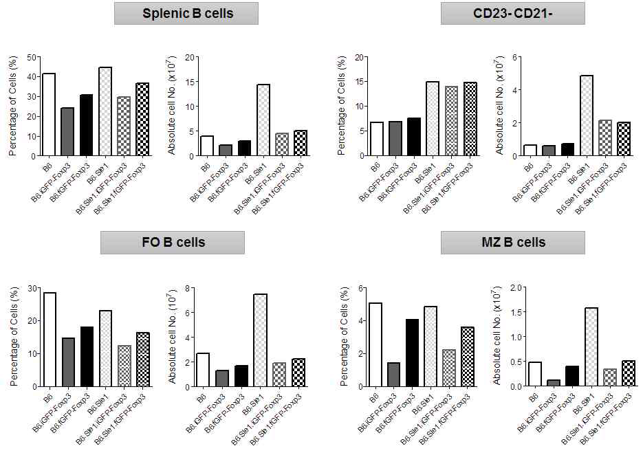 The numbers and frequencies of B-cell subsets from spleen