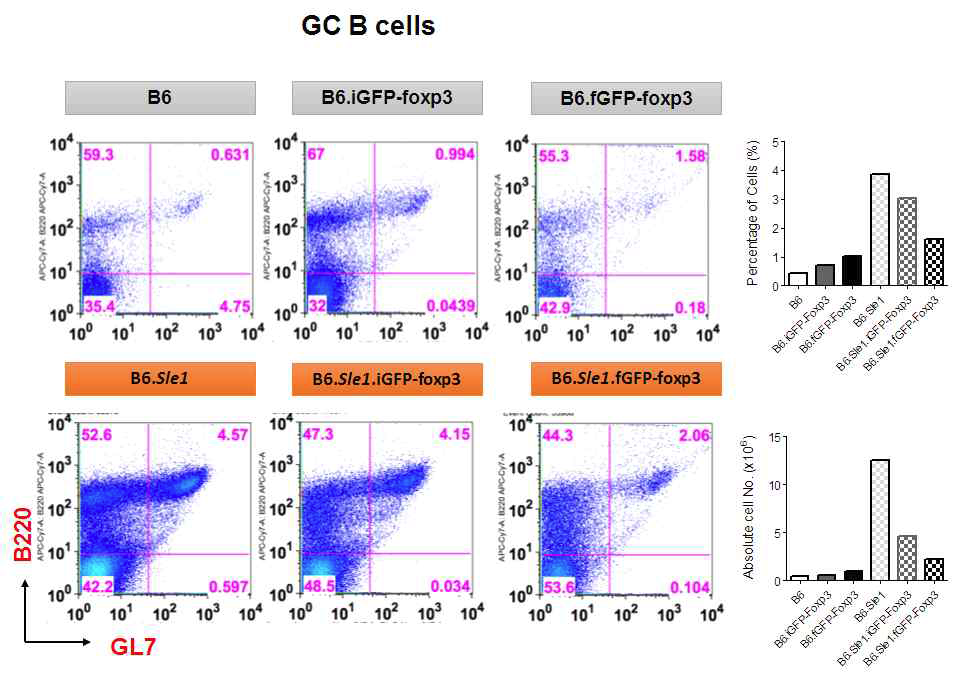 Analysis of germinal center B cells