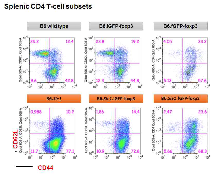 Flow cytometric analysis of splenic CD4+ T-cell subsets