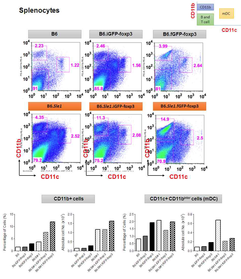 Flow cytometric analysis of splenocytes for CD11b+ and mDCs.