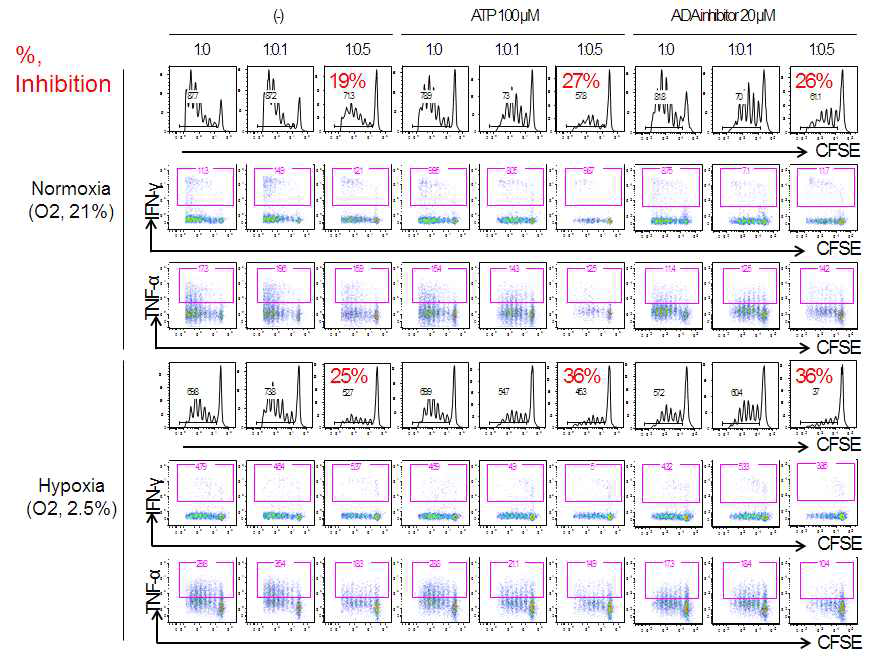 ATP enhanced the suppressive function of Treg in terms of proliferation inhibition of effector T cells.