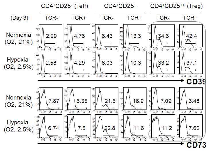 The expression of CD39 and CD73 in Treg under hypoxia and by TCR stimulation