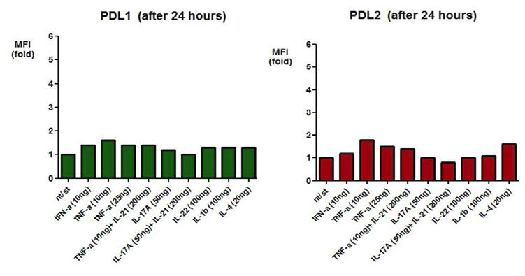 건선관련 cytokine에 의한 PDL-1, 2의 발현 양상