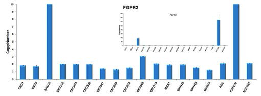 위암 세포주들의 FGFR2 유전자 copy number