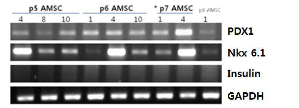 복부지방 줄기세포를 다양한 분화배지로 분화 유도함. 명시된 번호는 자체적으로 조성한 분화배지들의 생산번호임. *표시는 Low attachment dish를 이용하여 cell spheroid를 유도한 후 분화배지로 배양함. 유전자발현양상을 RT-PCR로 분석함.