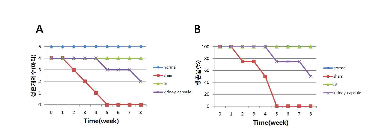 분화 유도된 제대혈 줄기세포를 이식한 쥐의 생존률. A, 생존그래프; B, 생존율 그래프