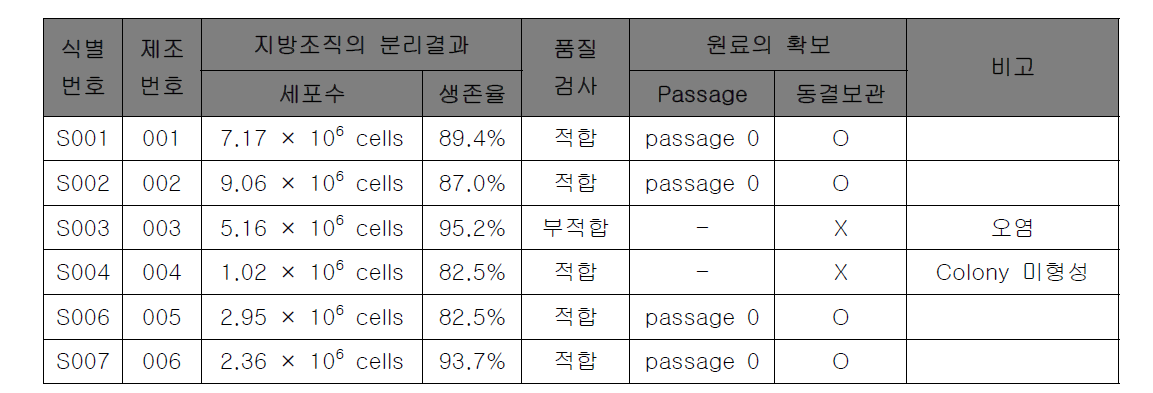 복부지방 줄기세포의 반제품 생산 결과