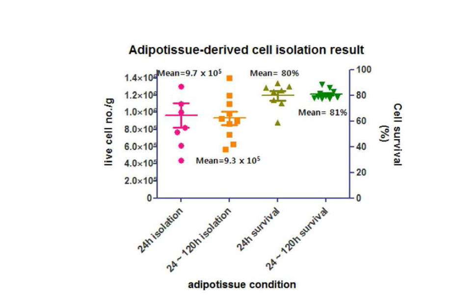 지방조직의 보관 안정성 및 줄기세포 분리 수율 확인