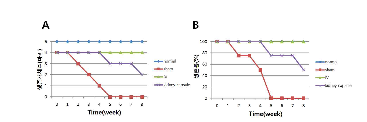 분화 유도된 제대혈 줄기세포를 이식한 쥐의 생존률. A, 생존그래프; B, 생존율 그래프