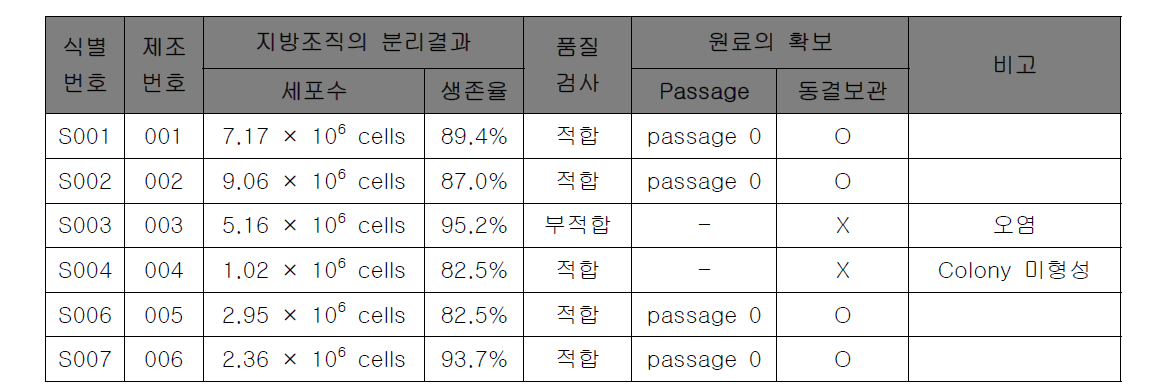 복부지방 줄기세포의 반제품 생산 결과