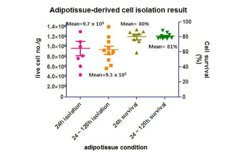 지방조직의 보관 안정성 및 줄기세포 분리 수율 확인