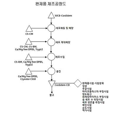 [보고서]TGFβ 수용체 고발현 중간엽줄기세포를 이용한 추간판 재생 치료법 개발