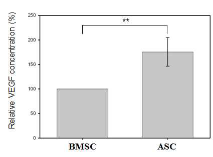 골수줄기세포와 지방줄기세포 배양액 내분비된 VEGF의 농도 비교: 지방줄기세포가 골수줄기세포 보다 우수한 혈관형성 유도 기능을 보유하고 있음을 증명