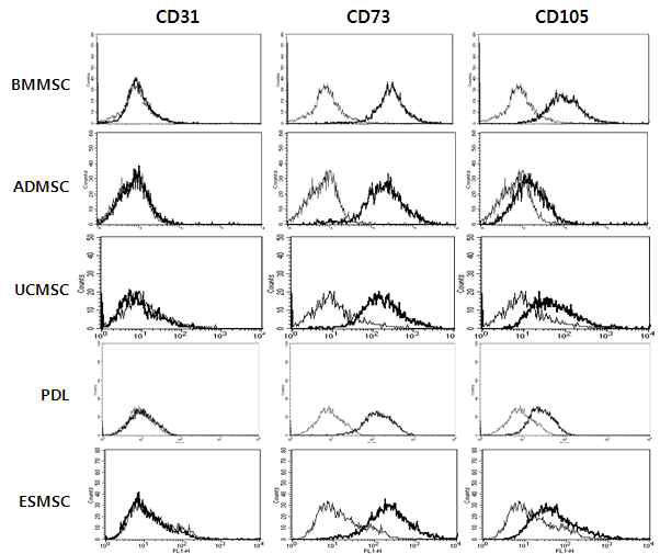 간엽줄기세포의 특성을 가진 줄기세포의 표면 표지자 확인