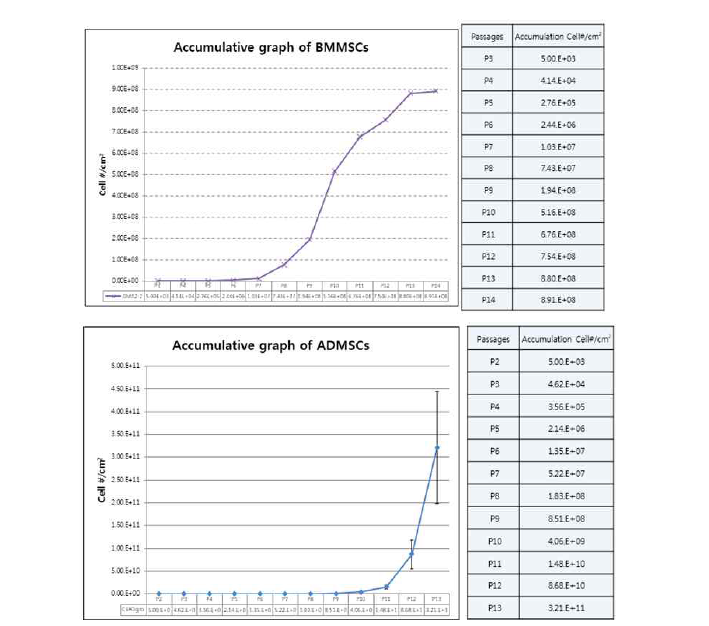 골수유래와 지방유래 간엽줄기세포의 계대배양시 누적세포수