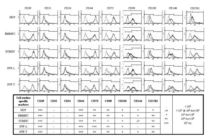 Cell Surface Protein Expression of Various MSCs.