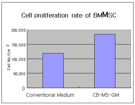 배지에 따른 MSC의 세포 증식능력 비교