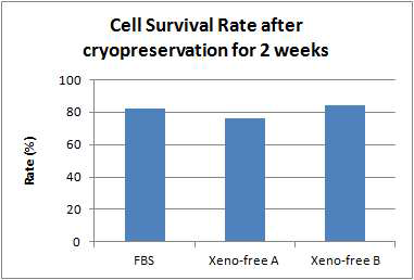 이종 단백질이 배제된 냉매제와 기존의 우태아 혈청이 함유된 냉매제에 보존된 세포의 생존률 비교.