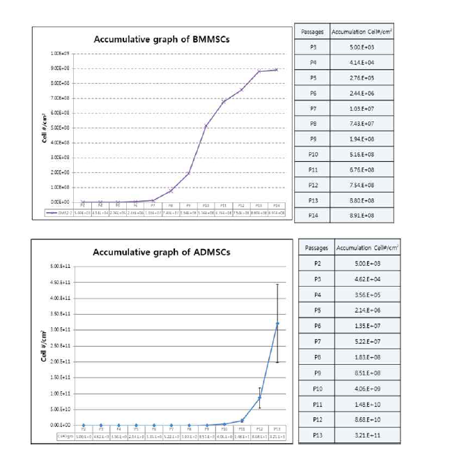 골수유래와 지방유래 간엽줄기세포의 계대배양시 누적세포수