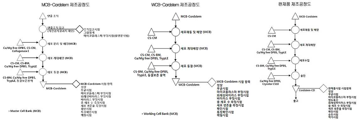 세포은행 (MCB- Cordstem, WCB- Cordstem)및 완제품 제조공정도