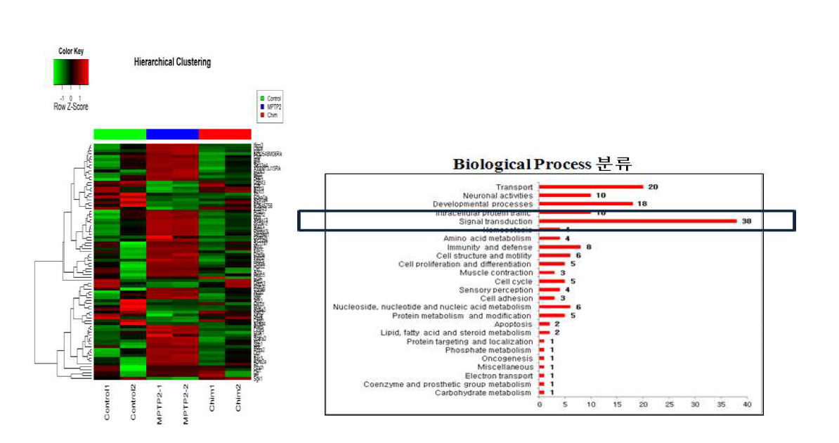 침 효과 인자 발굴을 위한 DNA microarray 수행 및 gene ontology 분석