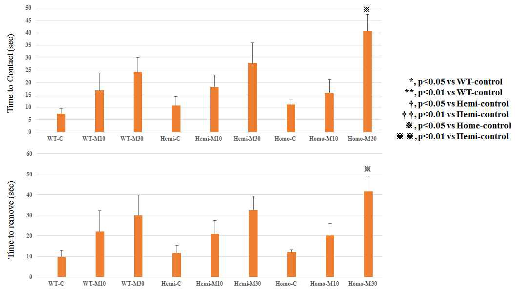 Adhesive removal test in synuclein TG mice injected with MPTP