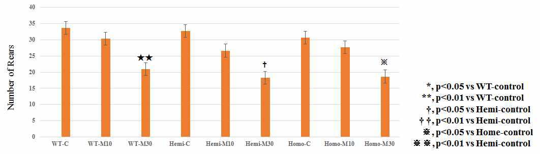 Spontaneous activity test in synuclein TG mice injected with MPTP