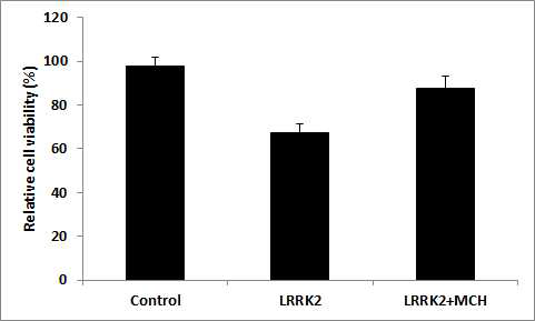 Cell viability by MCH treatment in the LRRK2 over-expressed cells