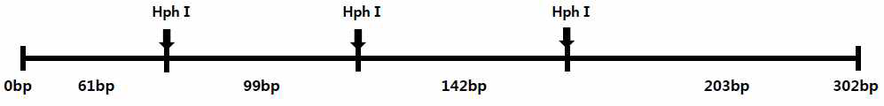 Restriction sites of LPHN3 gene