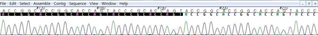 Electropherogram of the repeat motif for DK1-uVNTR. The repeated region is black colored region of the plot.