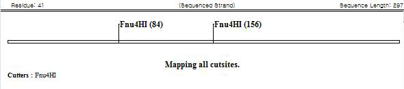 Restriction sites of DK1 gene