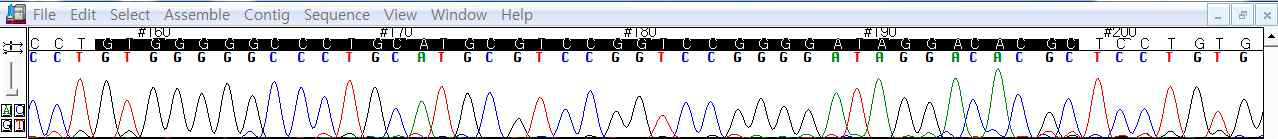 Electropherogram of the repeat motif for DK2-VNTR. The repeated region is black colored region of the plot.