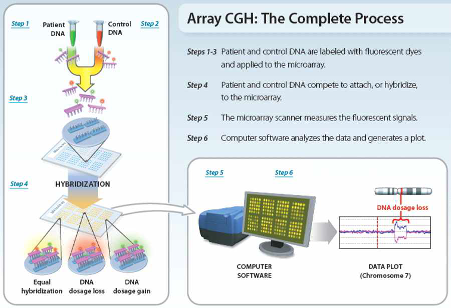 The principle of array CGH