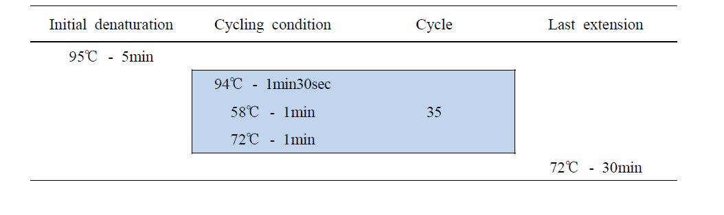 PCR reaction condition for genotyping DK4+Albumin gene