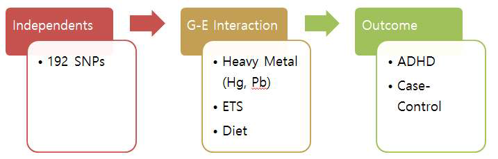 ADHD 유전-환경 상호작용 연구