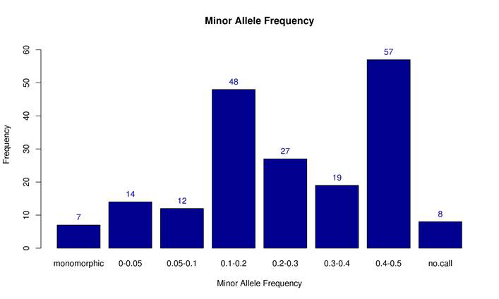 Distribution of Minor Allele Frequency