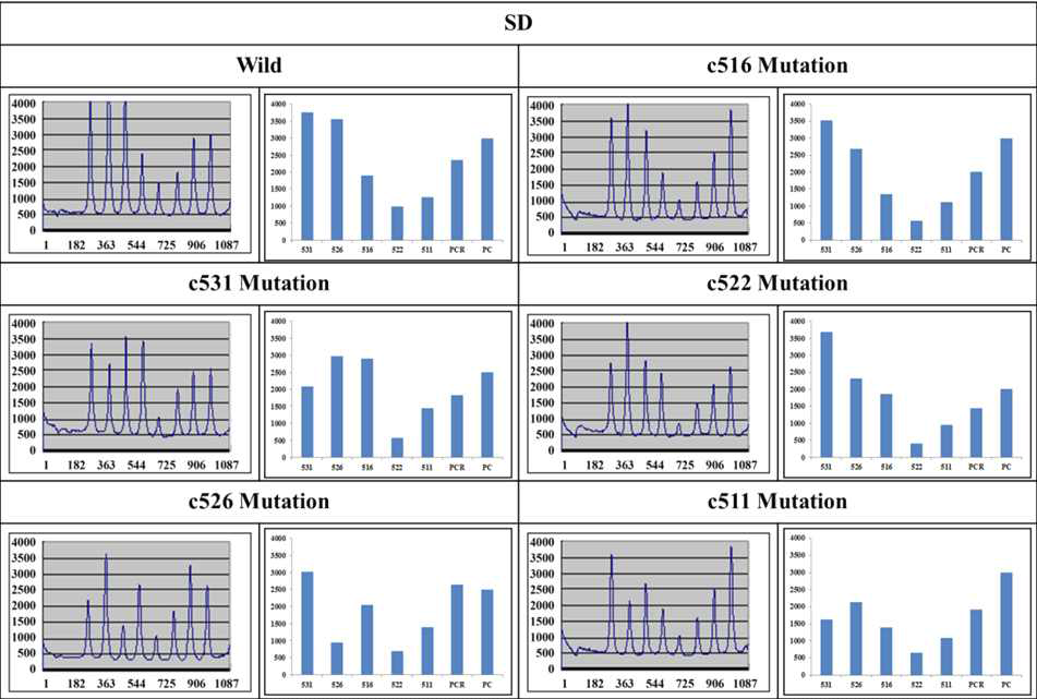 Hybridization of the Cy5 ssDNA of the wild and mutant strains with the immobilized probes in presence of SD