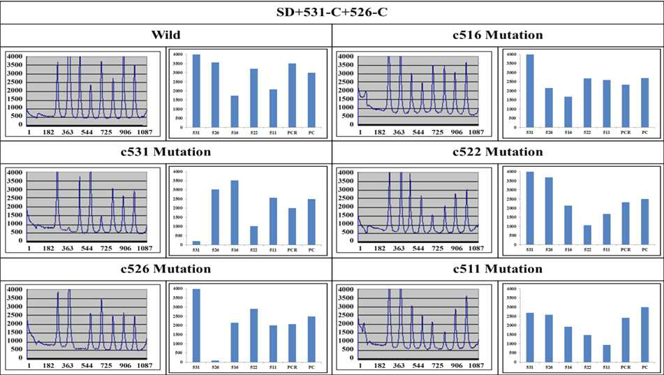 Hybridization of the Cy5 ssDNA of the wild and mutant strains with the immobilized probes in presence of SD+531-C+526-C