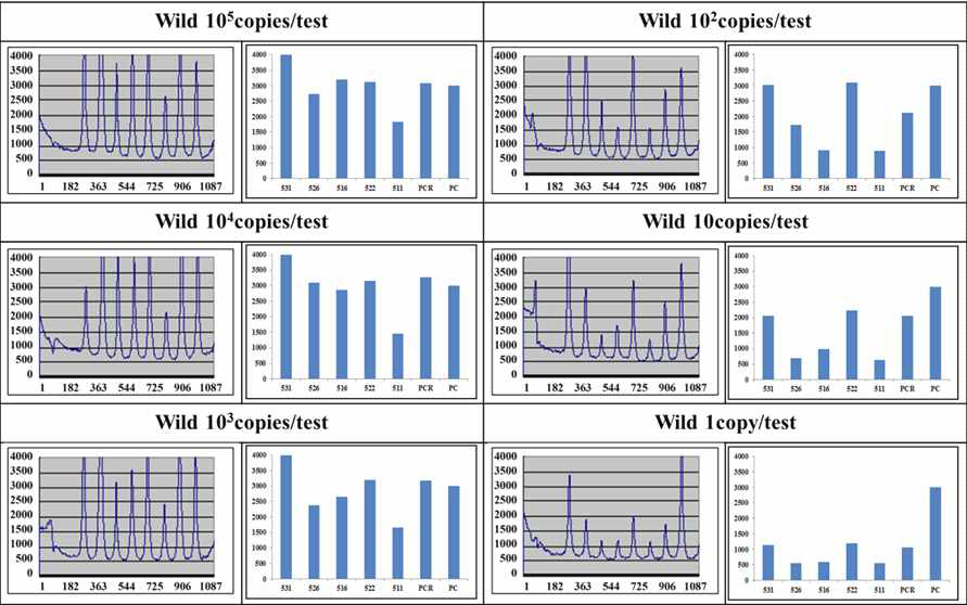 Determination of sensitivity of the MDR-TB 9G membranes by using 1 - 105 copies of genomic DNA of the wild TB strain