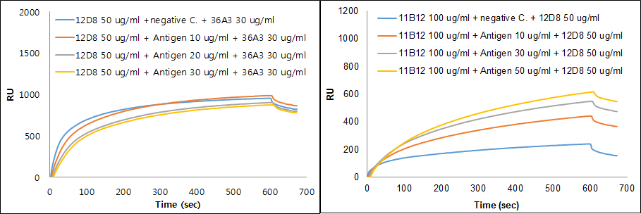 Ag85B 항체의 항원과 결합 후 SPR 측정 시 RU값의 변화를 나타낸 그래프