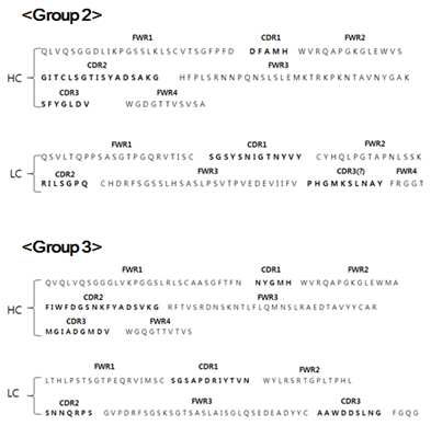 Anti-CFP10 monophages인 group2와 grouop3의 Fab region sequence