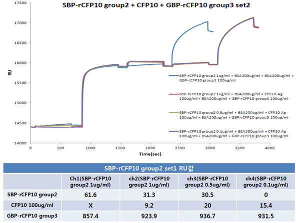 GBP-anti-rCFP10 group2의 농도를 100 ㎍/mL로 고정시켜 본 SPR 결과