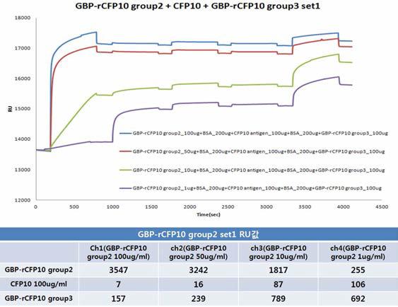 GBP-anti-rCFP10 group2의 농도를 100, 50, 10, 1 ㎍/mL로 변화시켜 본 SPR 결과