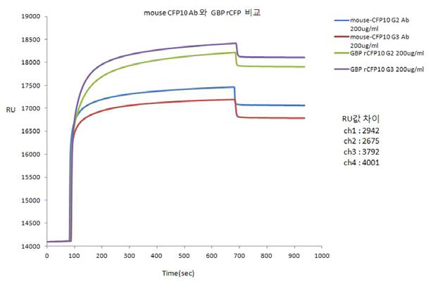 Anti-mouse-CFP10 항체와 GBP-anti-rCFP10 항체를 비교한 SPR 결과